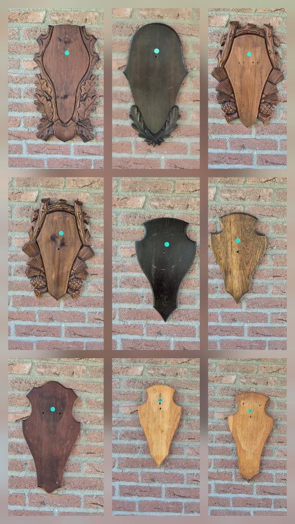Mooie Edelhert trofee planken schilden jacht jager taxidermi, Verzamelen, Dierenverzamelingen, Gebruikt, Gewei of Kop, Hert, Ophalen of Verzenden