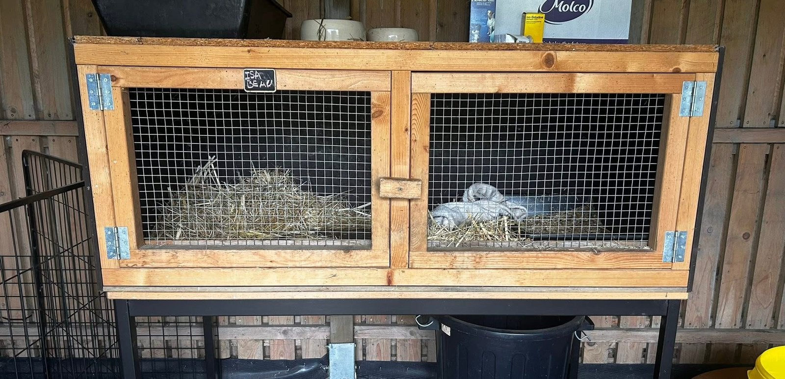 Zeer stevig konijnen hok, Ophalen, 60 tot 90 cm, Hok, Fret