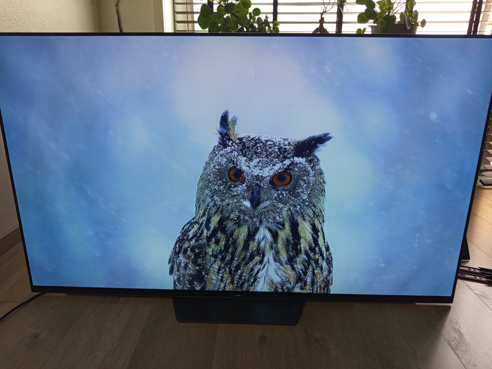 Sony Bravia KD-55AF8, TV, Hi-fi & Vidéo, Télévisions, 40 à 60 cm, OLED, Utilisé, Sony