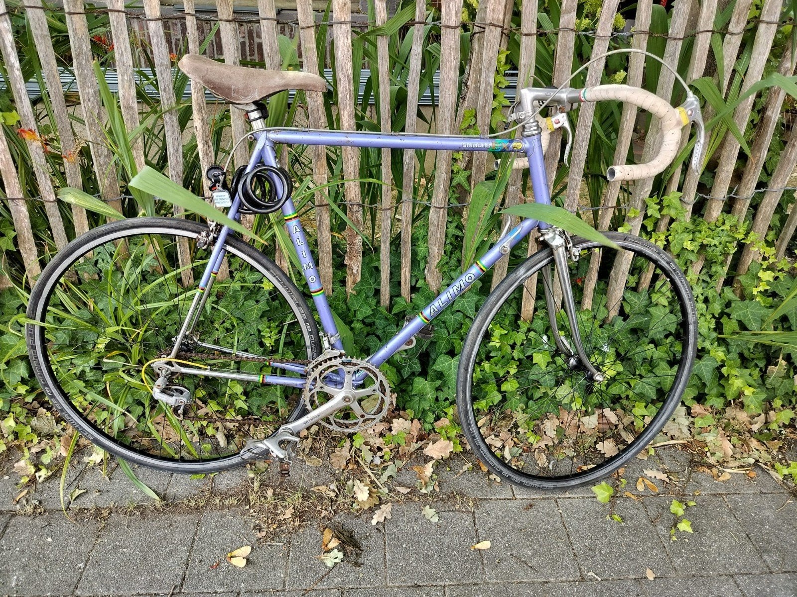 grote vintage Alimo, Ophalen