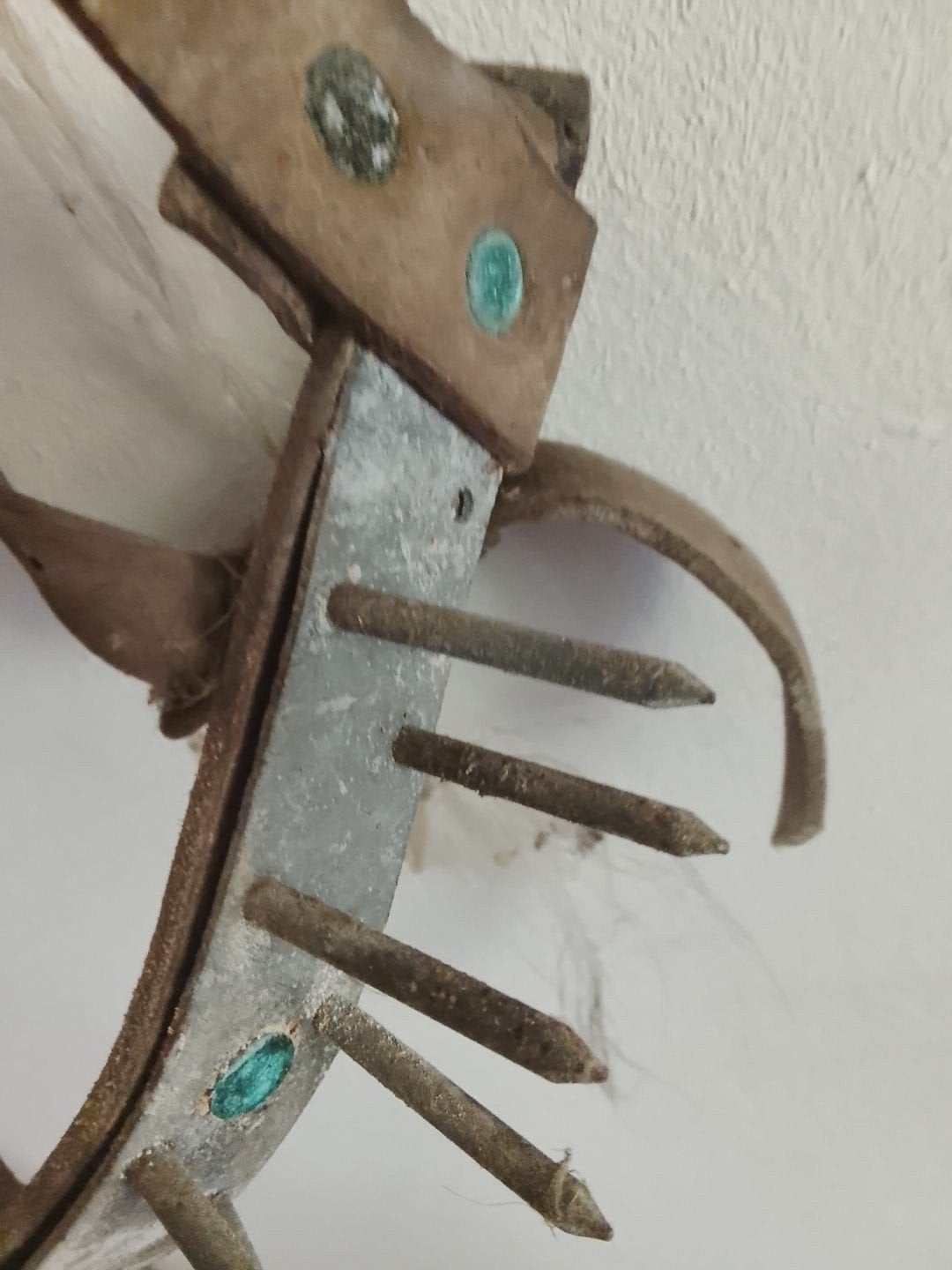 Zeldzame antieke gespijkerde hondenhalsband met harnas – ori, Ophalen of Verzenden