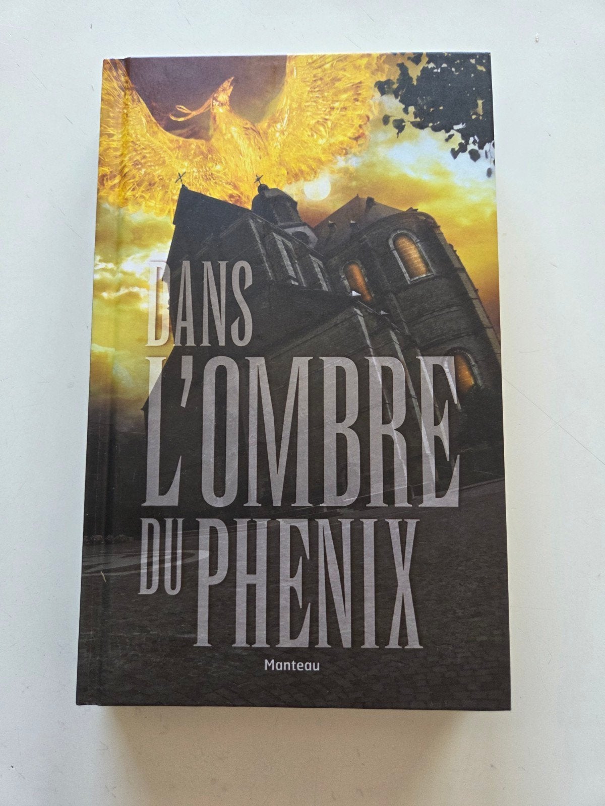 Dans l'Ombre du Phenix/In de schaduw van de Feniks, Boeken, Ophalen of Verzenden, Zo goed als nieuw