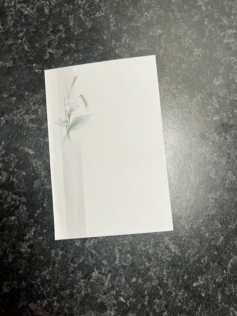 100 doodsprentjes, Verzamelen, Ophalen of Verzenden, Bidprentje