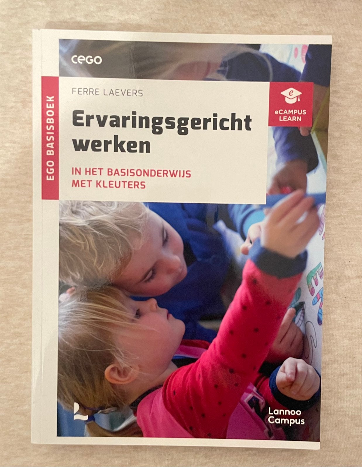 Ervaringsgericht werken boek te koop, Boeken, Ophalen, Zo goed als nieuw, Ferre Laevers