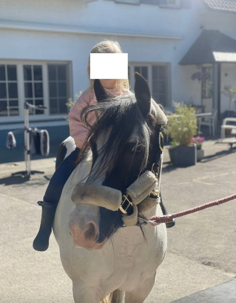 Superbrave tinkerpony, Jument, Poney de récréation, Vermifugé, 11 ans ou plus