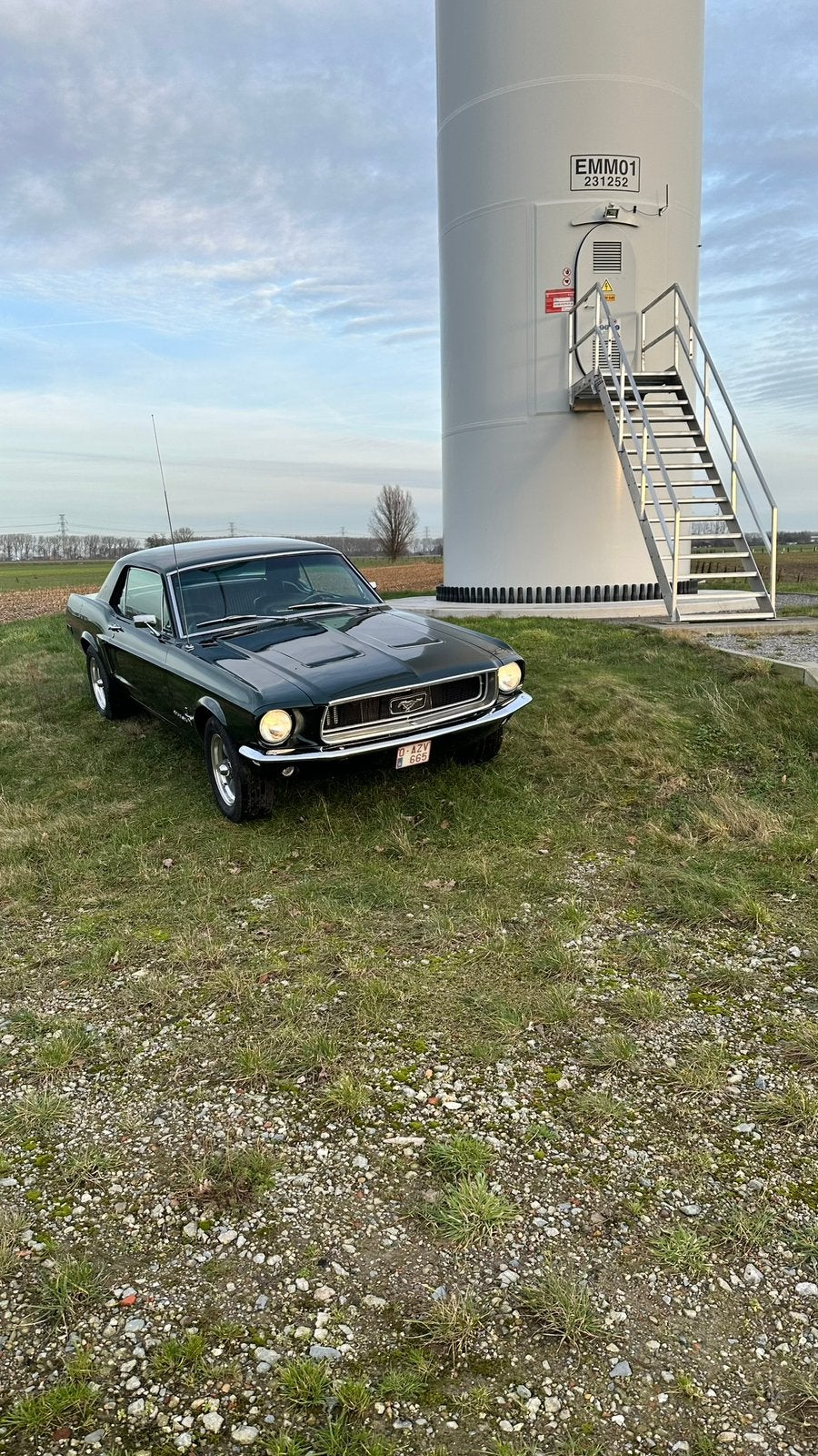 Ford Mustang 1968, foto 6