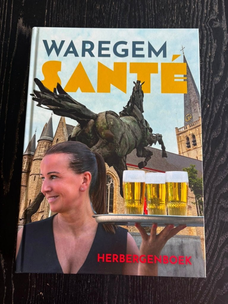 Waregem Santé -  geschiedenis Waregemse cafés, Boeken, Geschiedenis | Stad en Regio, Ophalen of Verzenden, 20e eeuw of later, Zo goed als nieuw