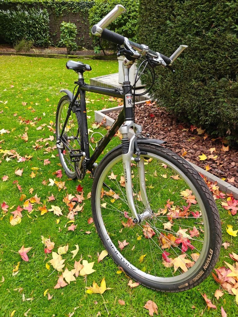 Kettler Xtreme herenfiets – maat 57 cm, Fietsen en Brommers, Gebruikt, Velgrem, Versnellingen, 53 tot 57 cm