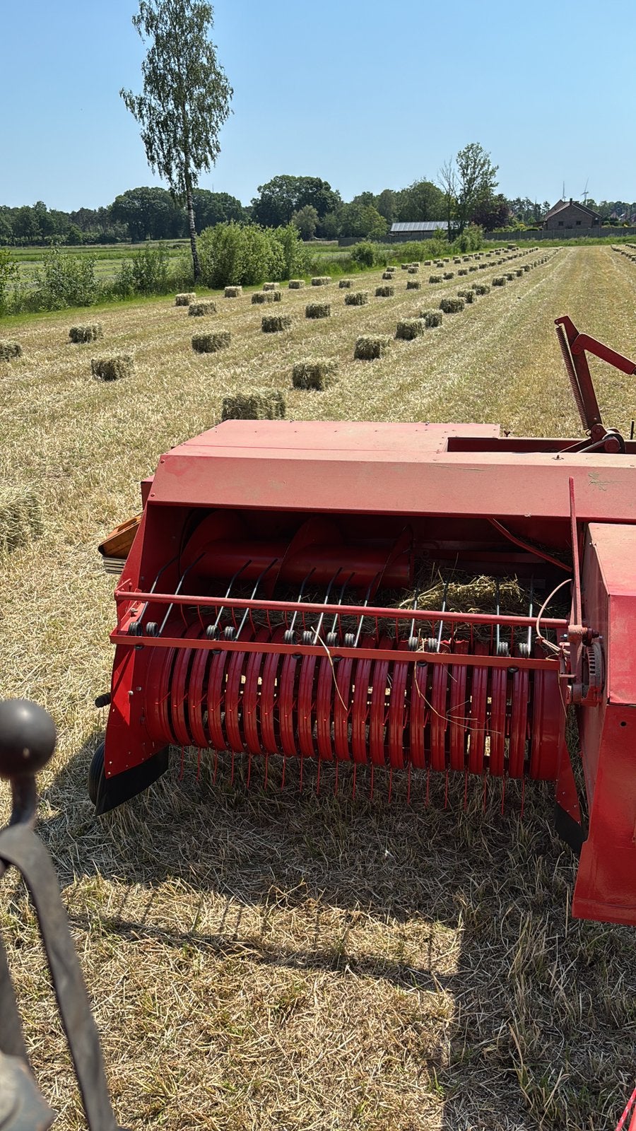 Vers hooi, Zakelijke goederen, Landbouw | Werktuigen, Ophalen