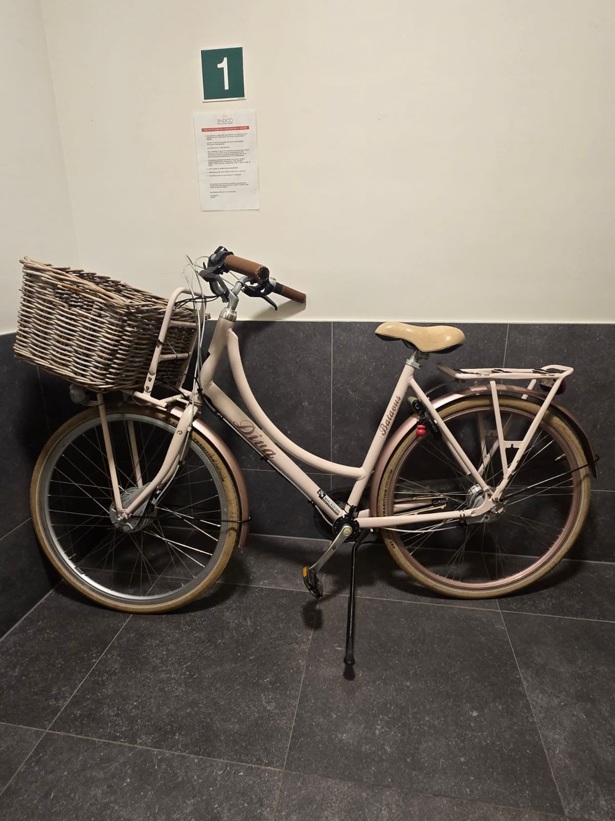 Batavus Elektrische E-bike | Bereik 100km | Met Gasknop, Fietsen en Brommers, Ophalen of Verzenden