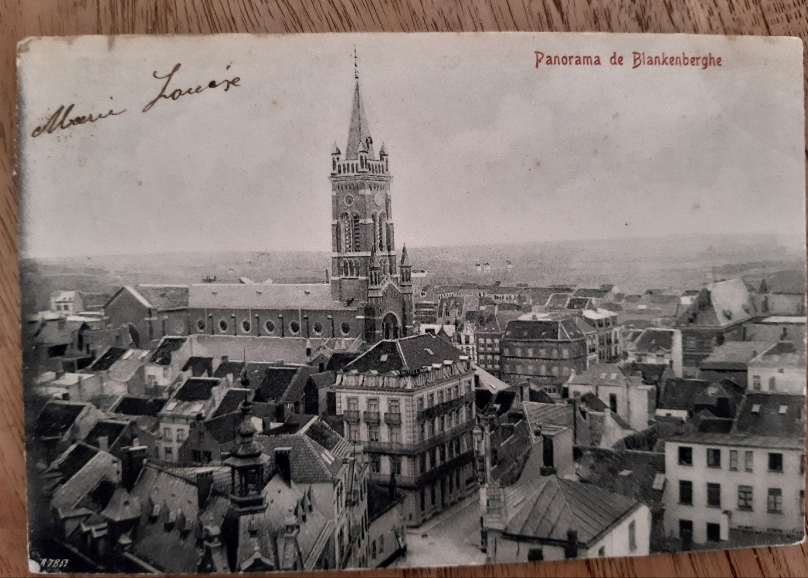 PANORAMA DE LA VILLE DE BLANKENBERGE 1905, Collections, Enlèvement ou Envoi