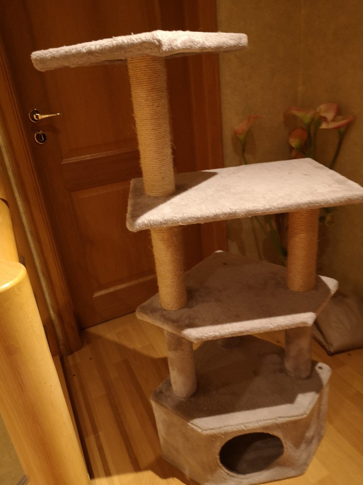 Griffoir (arbre à chat), Enlèvement, Griffoir