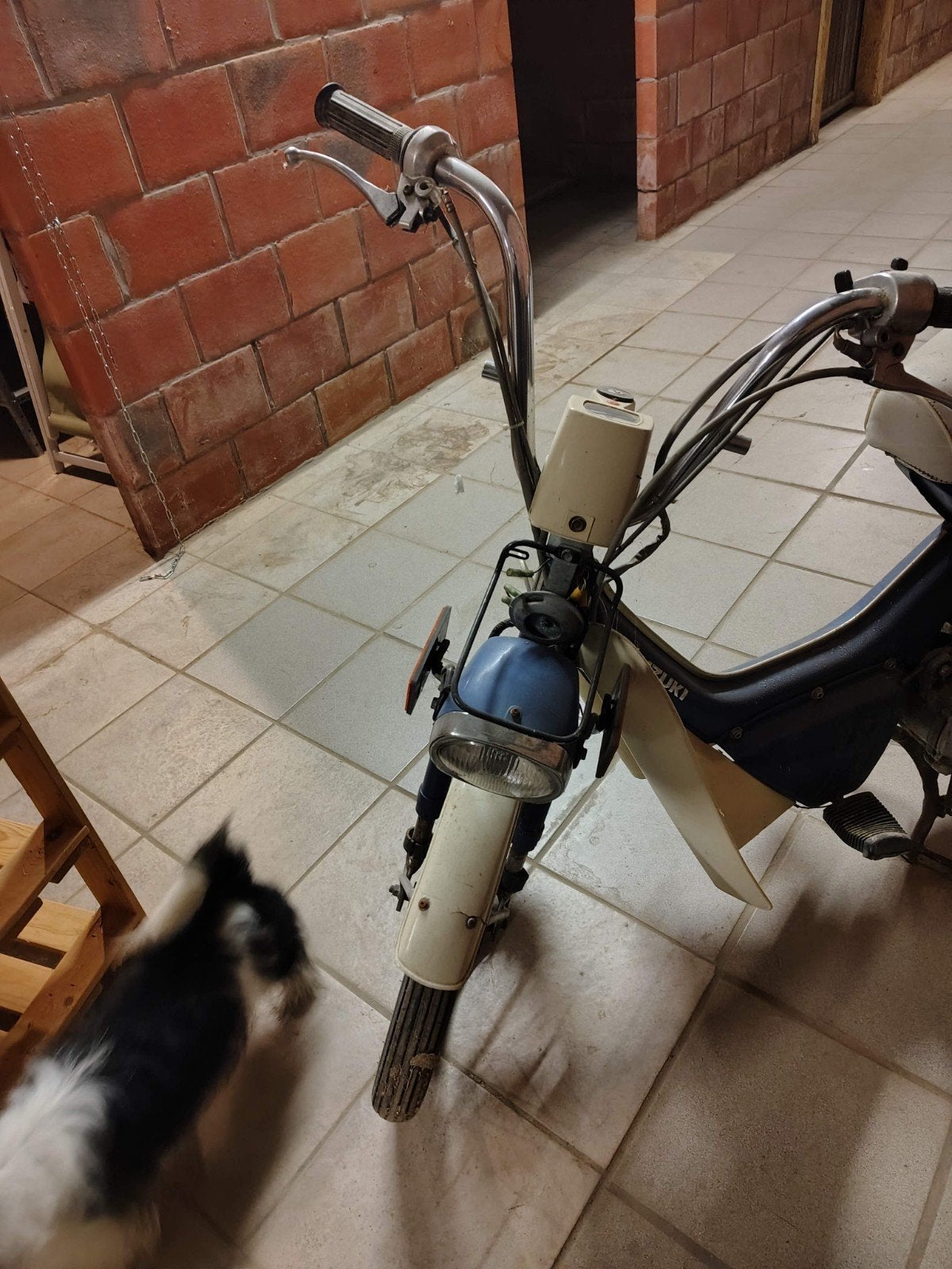 Suzuki FZ "Suzy" Oltimer 1982 klasse A met papieren, Ophalen, Gebruikt, Overige modellen, Klasse A (25 km/u)