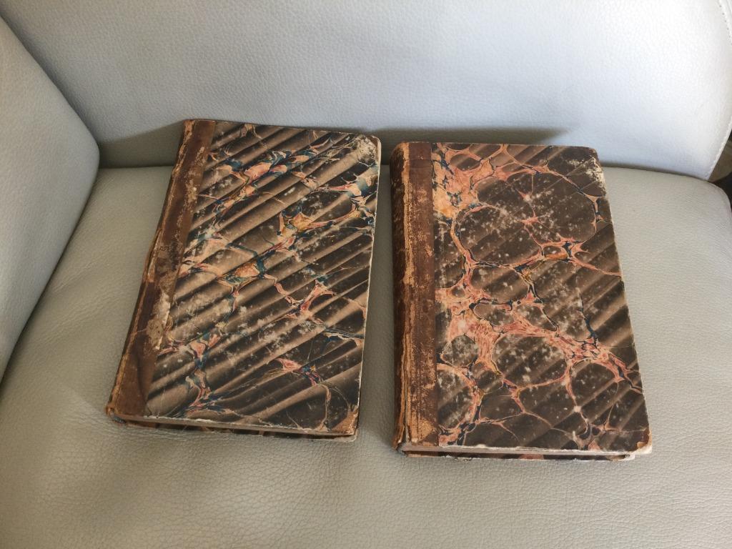 GESCHIEDENIS VAN DE FRANSE REVOLUTIE 1789-1814-VOLUME 1-2, Antiek en Kunst, Ophalen of Verzenden, F.A.MIGNET