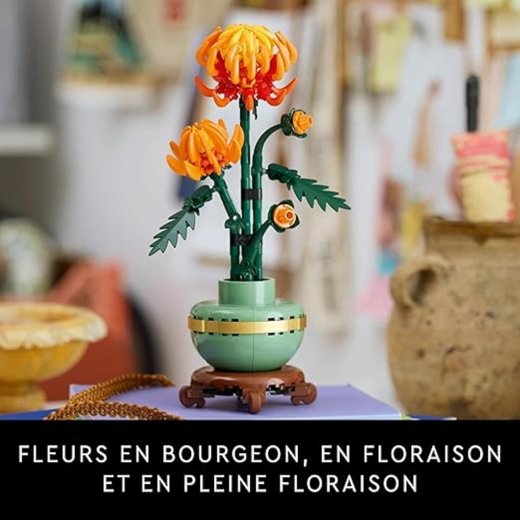 LEGO Botanicals Le Chrysanthemum LIVRAISON RAPIDE ET GRATUIT, Envoi, Neuf, Ensemble complet, Lego