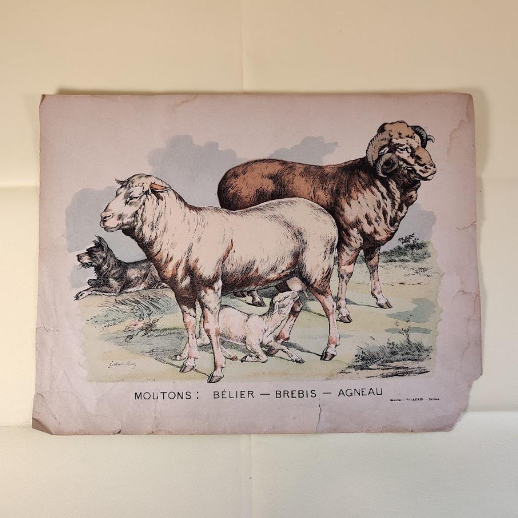 6 estampes anciennes Imagerie PELLERIN Epinal, Enlèvement ou Envoi