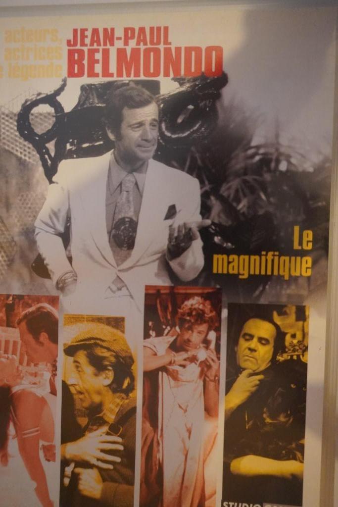 Le magnifique DVD de Philippe de Broca, Cd's en Dvd's, Dvd's | Actie, Ophalen of Verzenden, Gebruikt, Actiekomedie