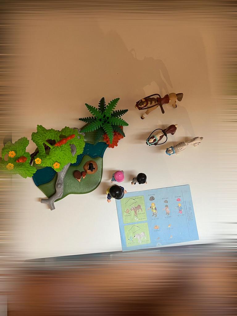 Playmobil kleine paardenweide, Ophalen, Gebruikt