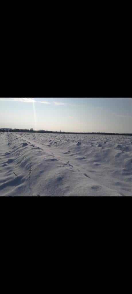 Gezocht: landbouwgrond