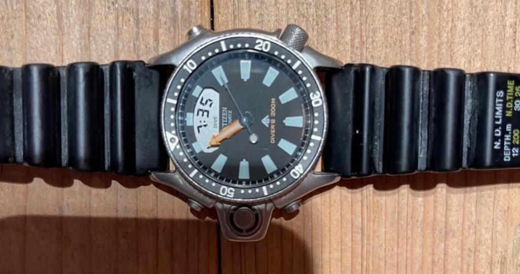 Citizen Promaster, Montre-bracelet, Citizen, Comme neuf, Enlèvement
