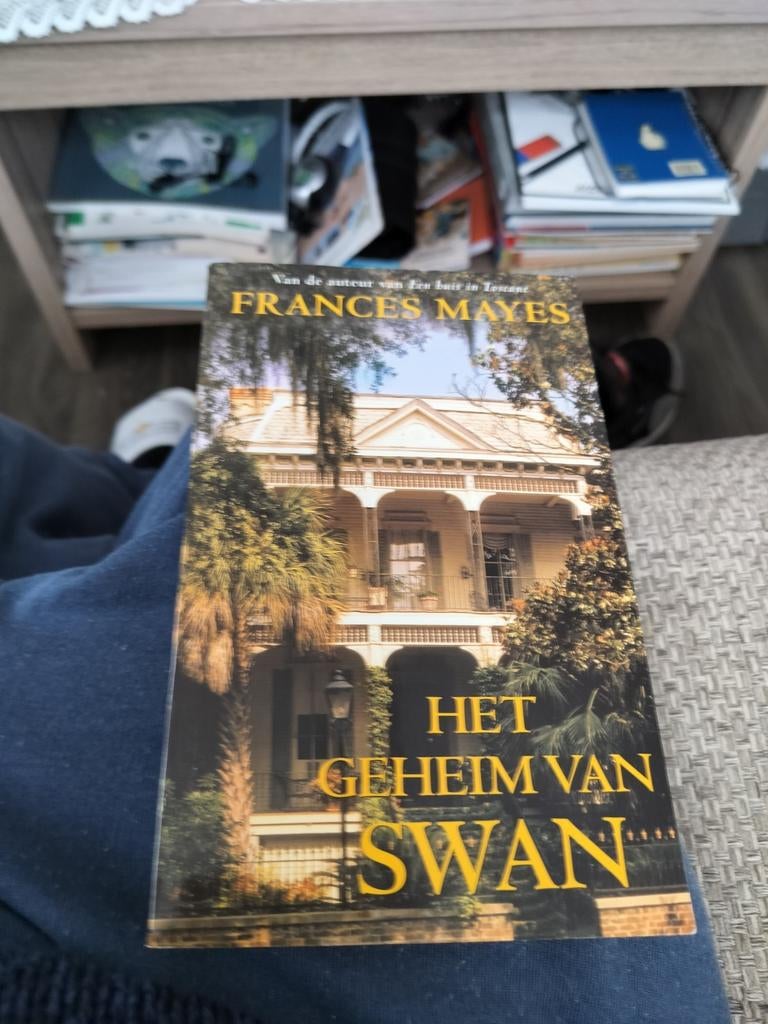 F. Mayes - Het geheim van Swan, Ophalen, Zo goed als nieuw, F. Mayes