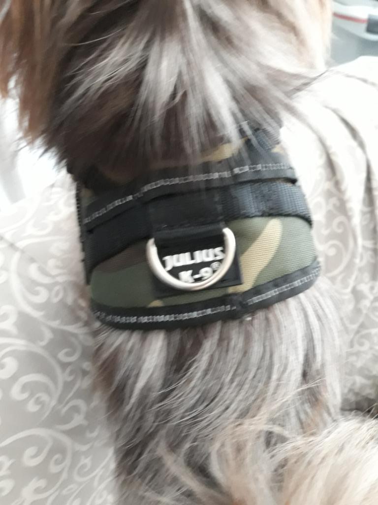 Harnais de couleur soldat de marque K9, Enlèvement, Neuf, Accessoires pour laisse pour chien