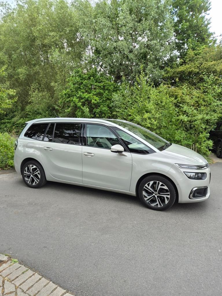 Citroën Grand C4 Spacetourer 2.0D 7 places en cuir de massag, Cuir, Achat, Anti démarrage, Beige