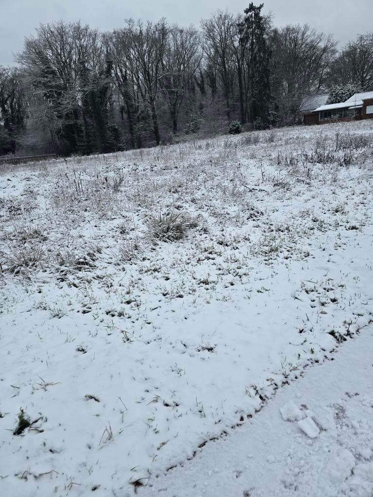 Gezocht woning te huur lummen, Immo