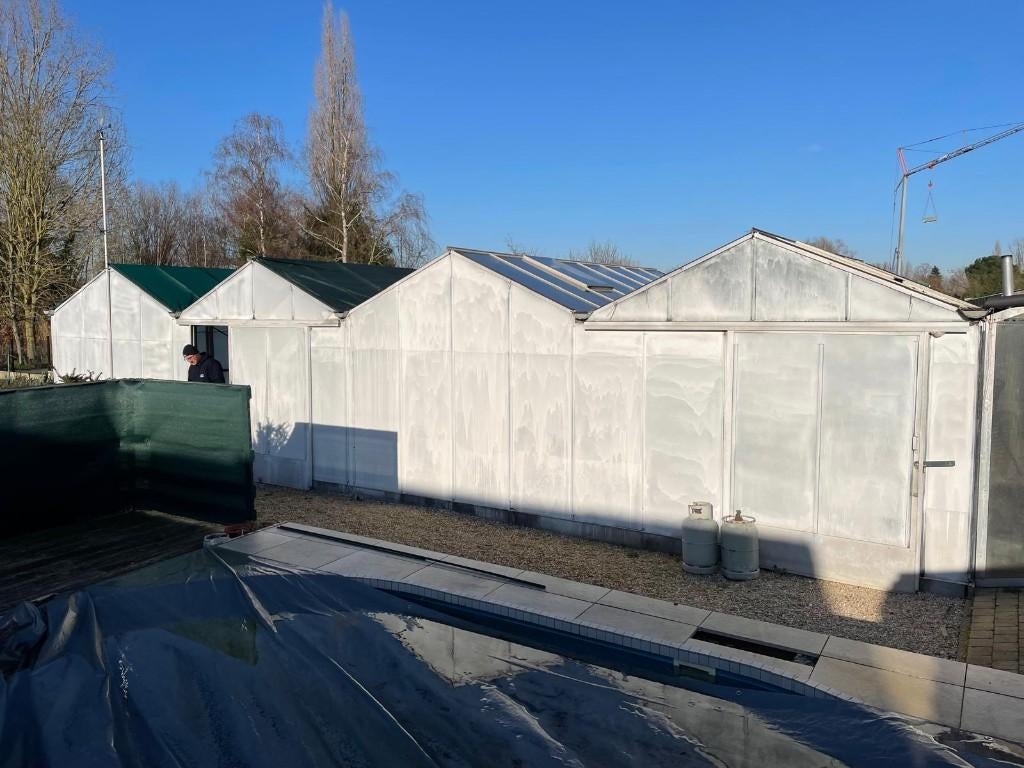 2x serre 6m x 6m, Tuin en Terras, Ophalen, Gebruikt, Kweekkas, Glas