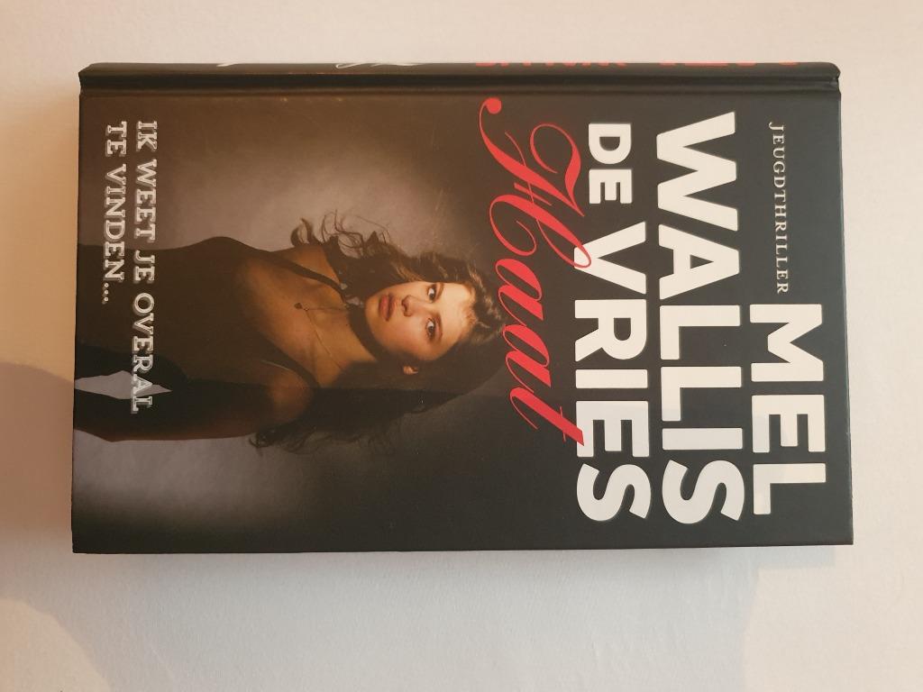 Leesboek voor school, Ophalen of Verzenden, Zo goed als nieuw, Mel Wallis de Vries