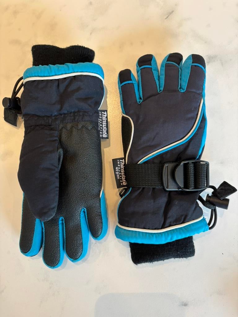 Ski handschoen, Sport en Fitness, Skiën en Langlaufen, Ophalen, Ski