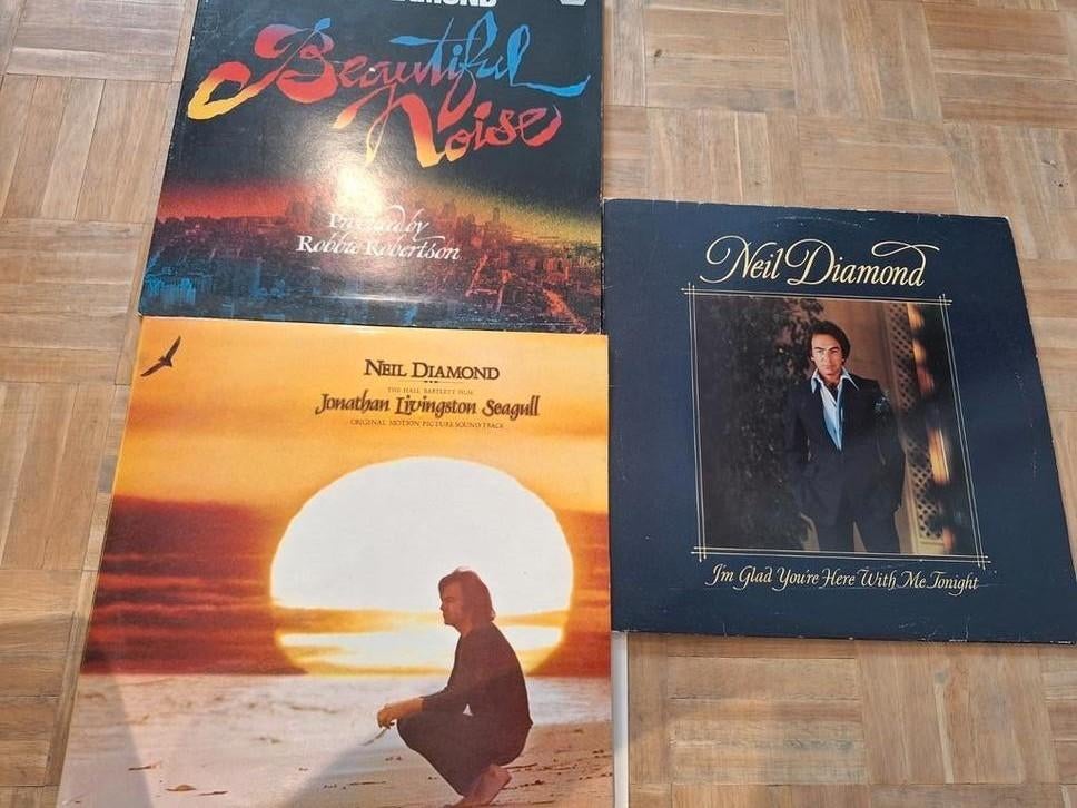 Trois fois Neil Diamond, Enlèvement, Comme neuf