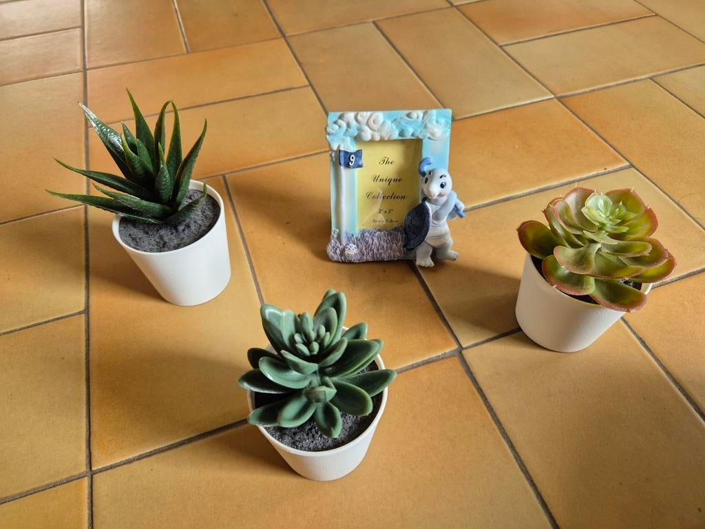Kunste plantjes en een kinder fotolijst met schildpadje, Enlèvement ou Envoi, Comme neuf