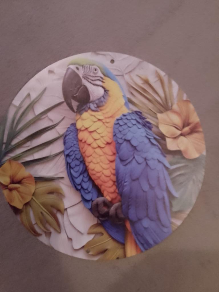 Metalen plaat blauwgele ara