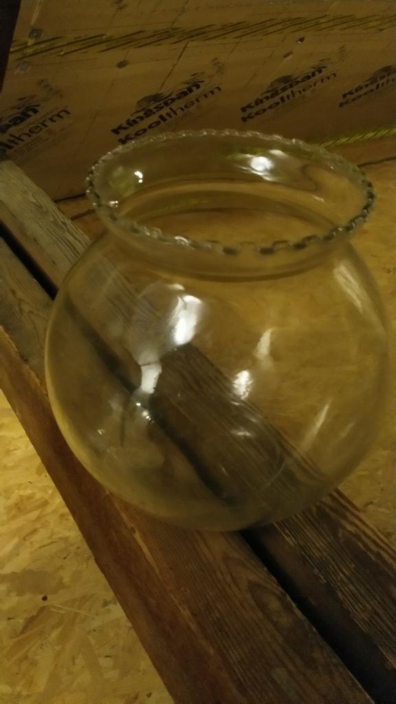 Vis bokaal, Dieren en Toebehoren, Vissen | Aquariumvissen, Vis