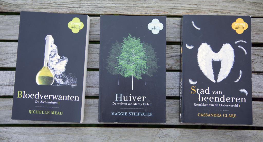Reeksen voor Young Adult en van Lauren Kate, Enlèvement ou Envoi, Comme neuf