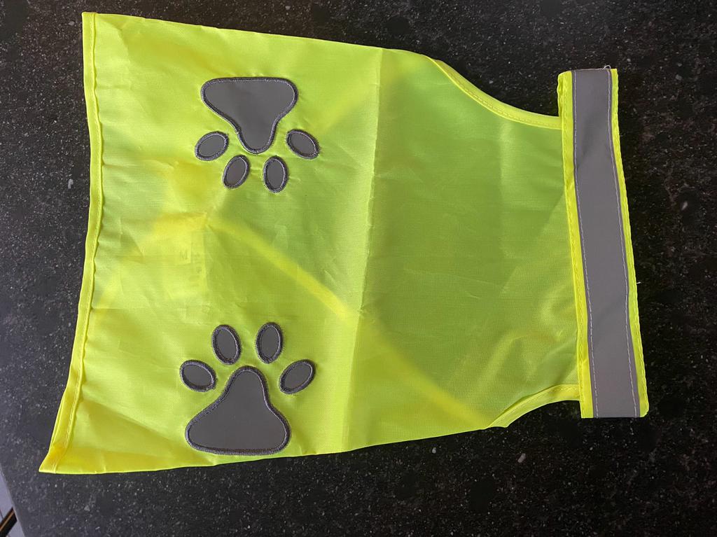 Fluohesje voor kleine honden, Ophalen of Verzenden, Nieuw
