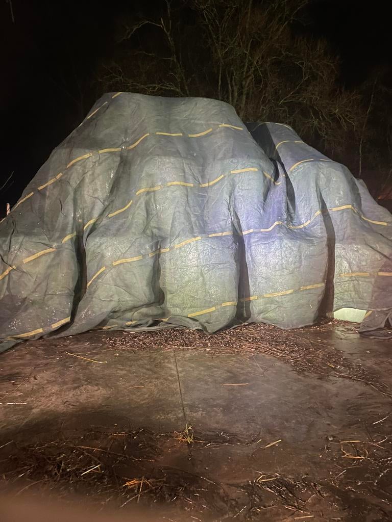Balen mks te koop, Dieren en Toebehoren, Ophalen, Vee