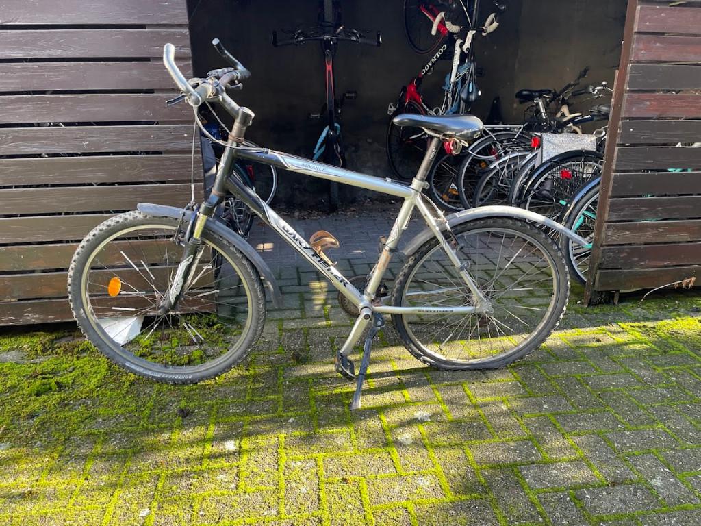 Mountainbike, Fietsen en Brommers, Fietsen | Mountainbikes en ATB, Gebruikt, Hardtail, 53 tot 57 cm, Ophalen