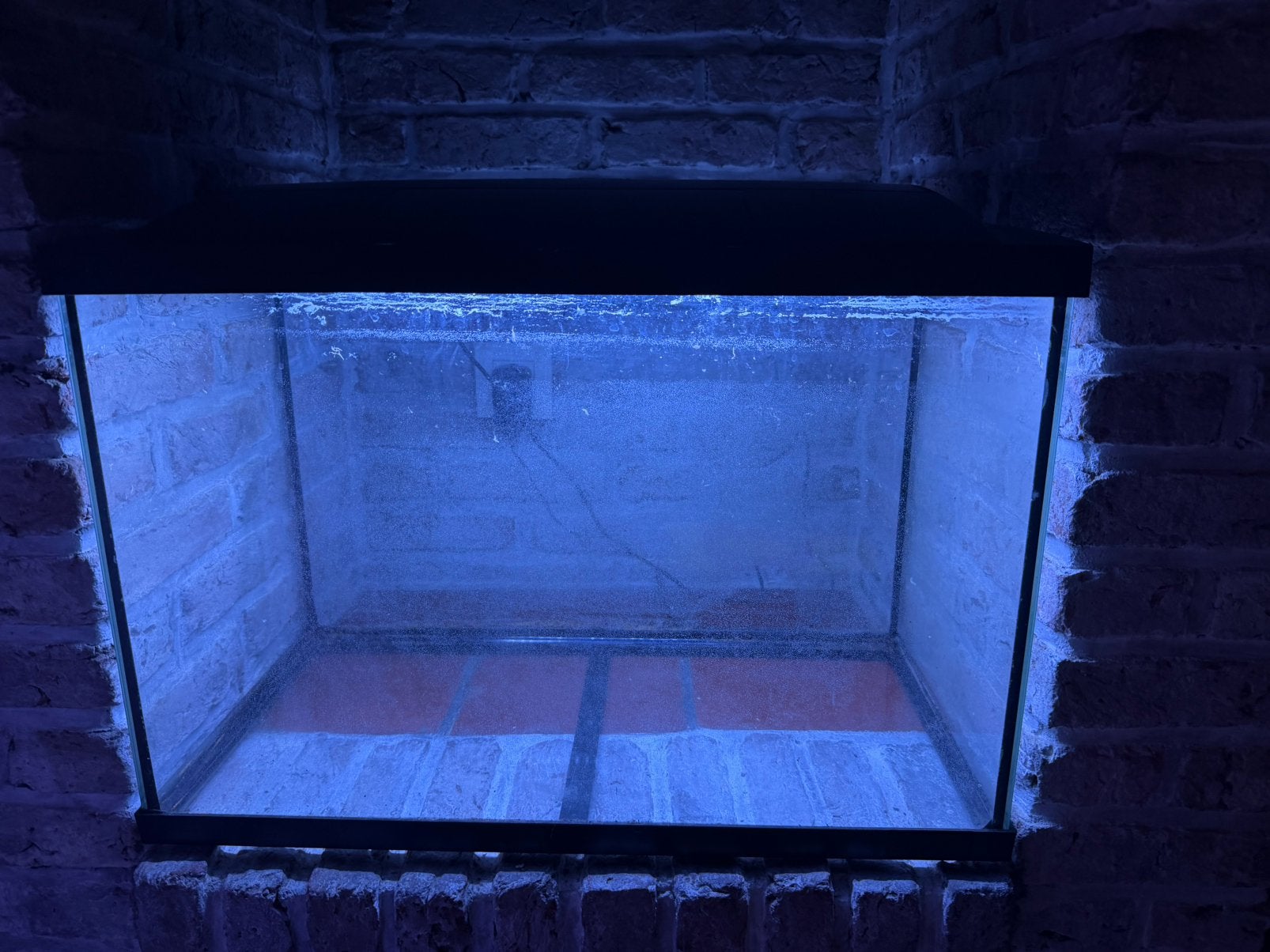 60 liter aquarium, Dieren en Toebehoren, Ophalen, Zo goed als nieuw