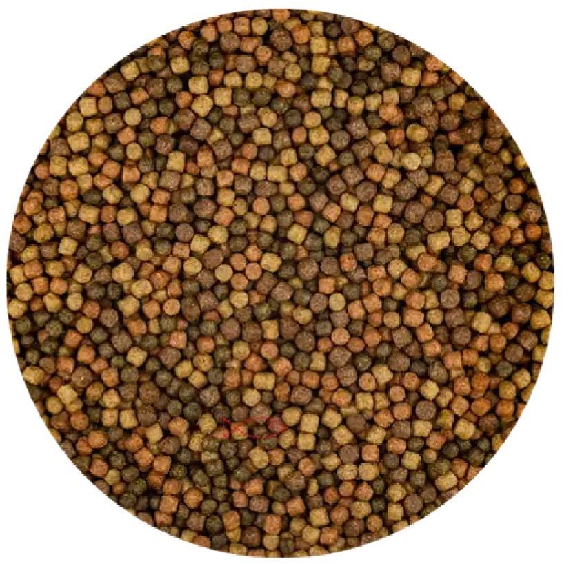 ACTIE Vivani Topmix 3mm 6mm, Dieren en Toebehoren, Vissen | Vijvervissen, Karper of Koi