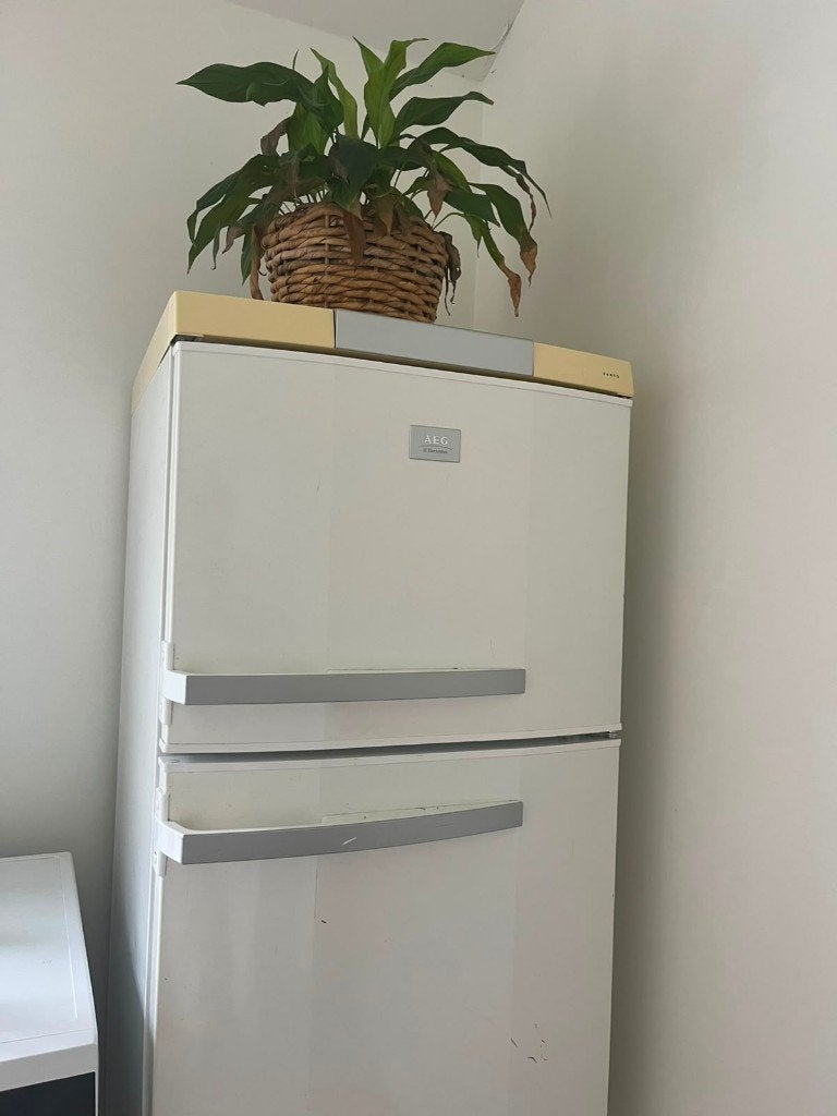 Frigo, Elektronische apparatuur, Koelkasten en IJskasten, Ophalen, 150 tot 200 liter, Gebruikt, 140 tot 160 cm