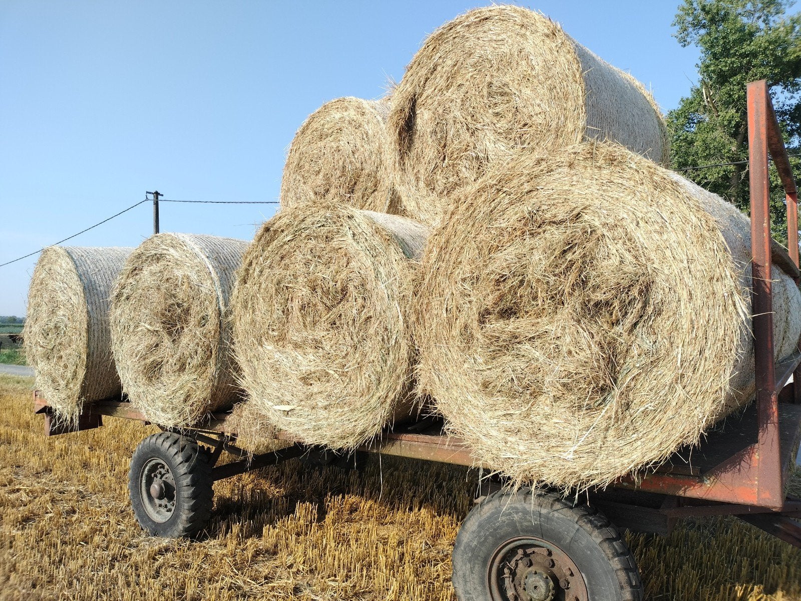 Hooi  EXTRA voor paard, Pâturage, 4 chevaux ou poneys ou plus
