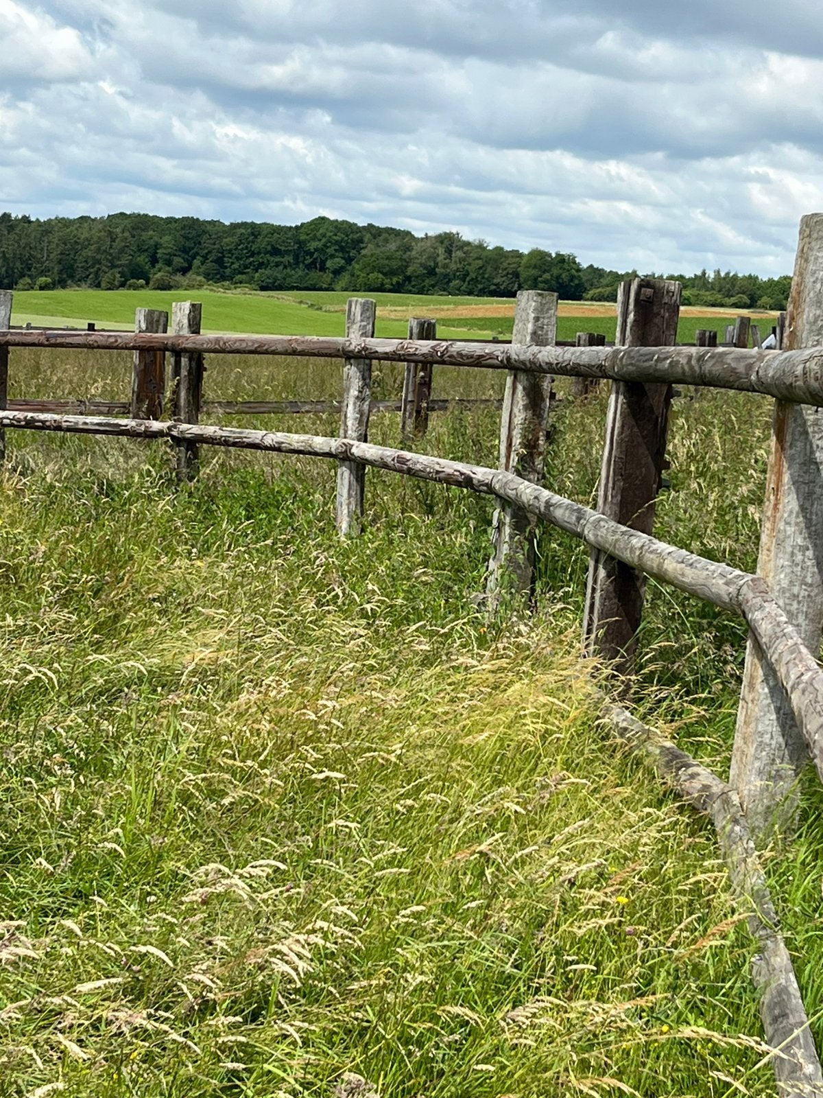 Spoorwegballen en -rails, Dieren en Toebehoren, Paarden en Pony's | Overige Paardenspullen, Gebruikt, Overige soorten, Ophalen