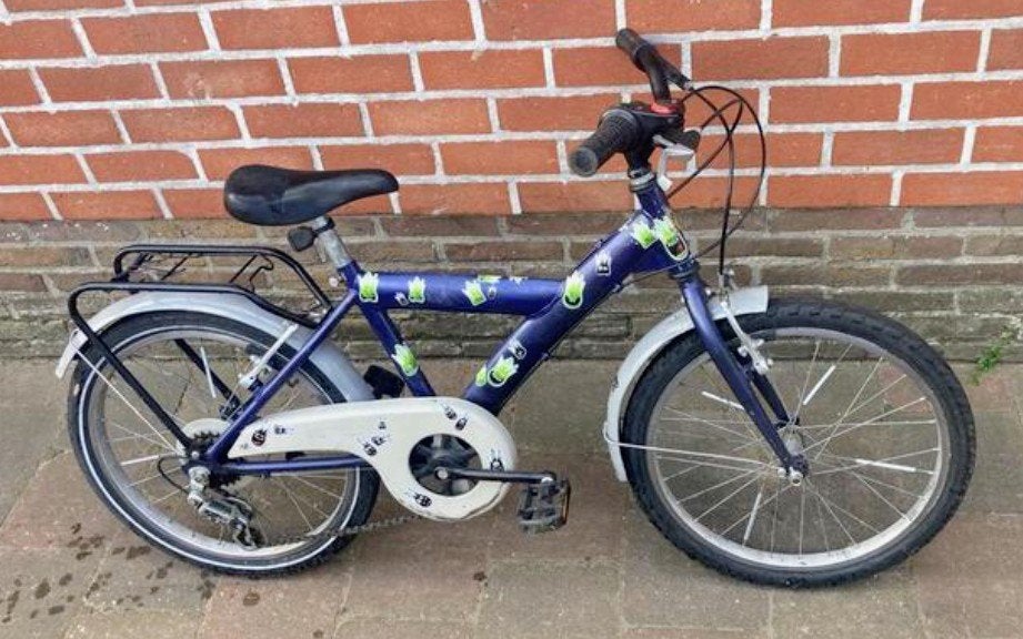 BFK Bike Fun Kids - 20 inch (6 tot 8 jaar), Ophalen, BFK, BIKE FUN KIDS, Velgrem, 20 inch
