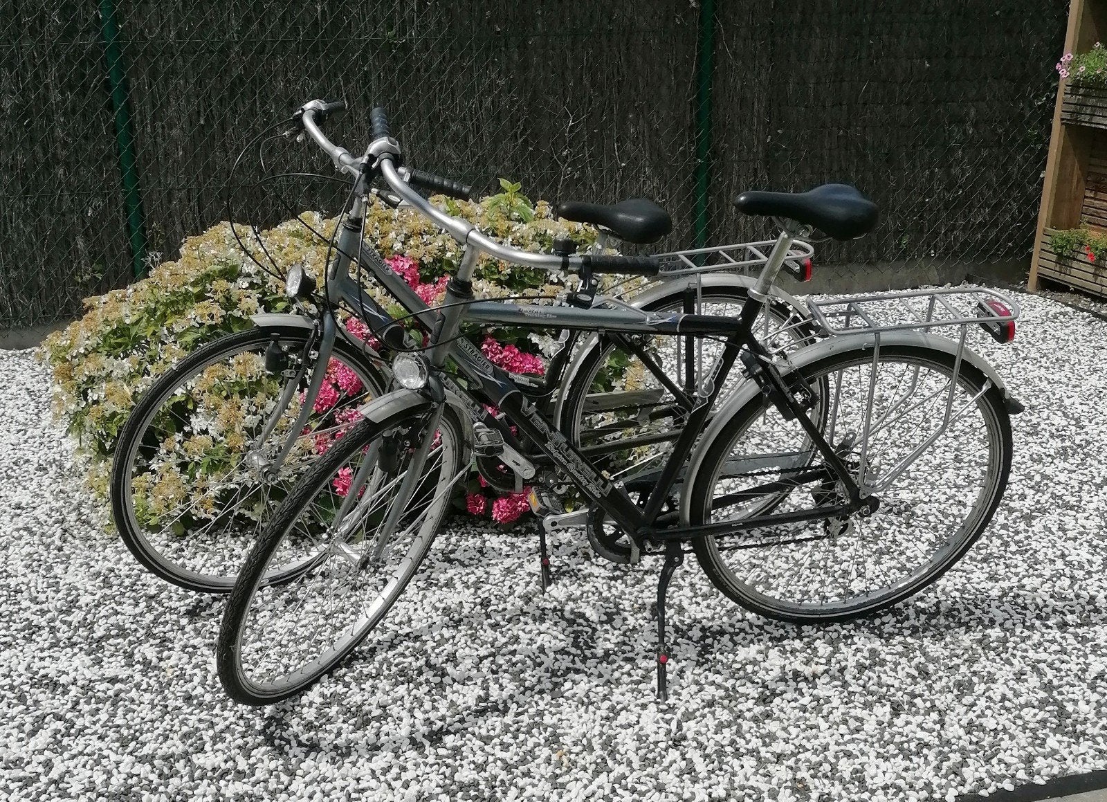 Venturelli heren-en damesfiets, Enlèvement