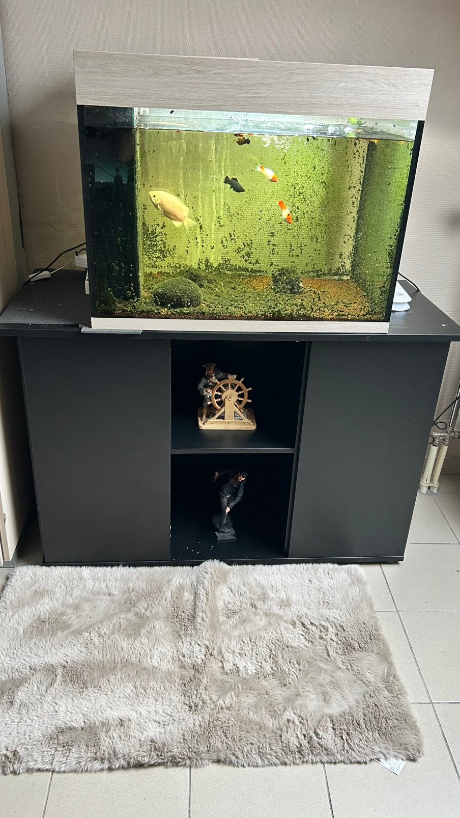 Horta zwarte aquariumkast in uitstekende staat, Dieren en Toebehoren, Ophalen, Gebruikt, Aquariummeubel