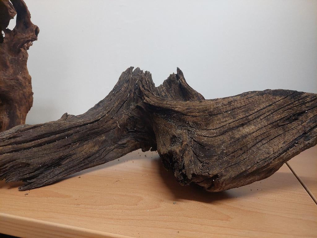 Kienhout voor aquarium of paludarium, Ophalen, Zo goed als nieuw, Plant(en), Steen of Hout