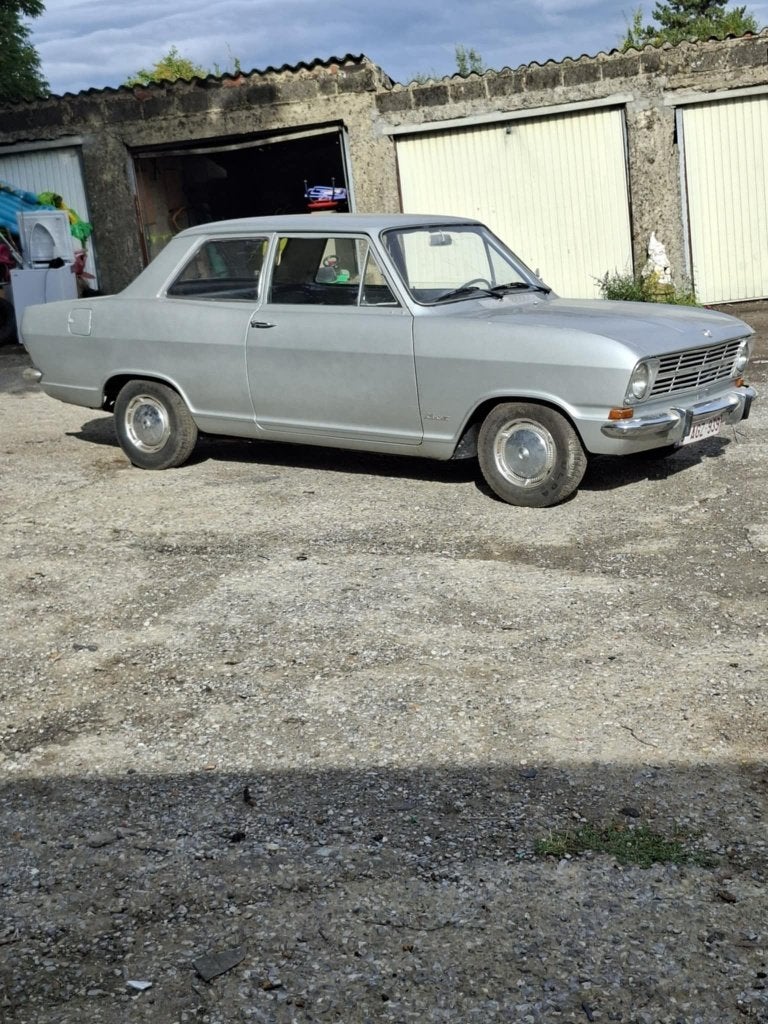 ancetre, foto 2