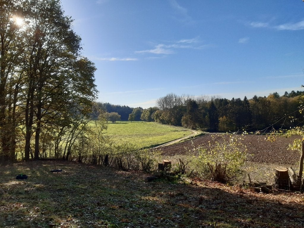 Belle parcelle, HULDENBERG, 1500 m² ou plus